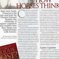 Article Equus Lost